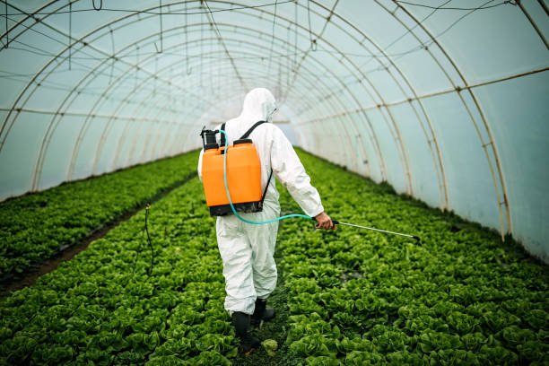 Best Pest Control Near Me in Bartonsville, MD