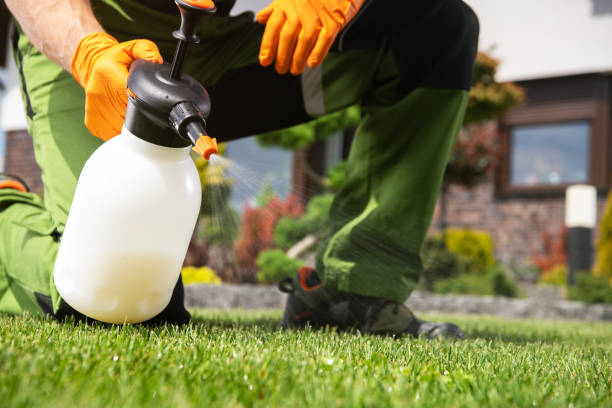 Best Wasp Removal Services  in Bartonsville, MD