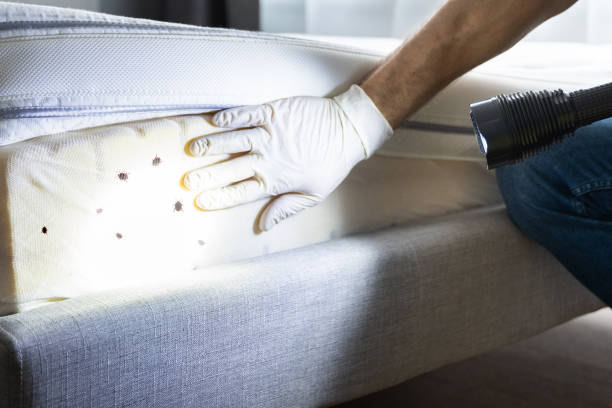 Professional Pest Control in Bartonsville, MD