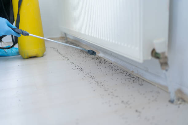 Best Termite Control Services  in Bartonsville, MD